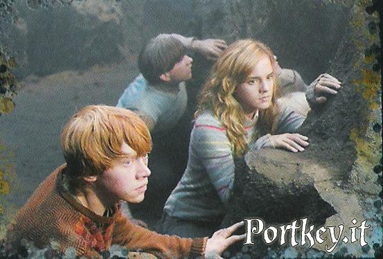 Amagats en Neville en Ron i Na Hermione
